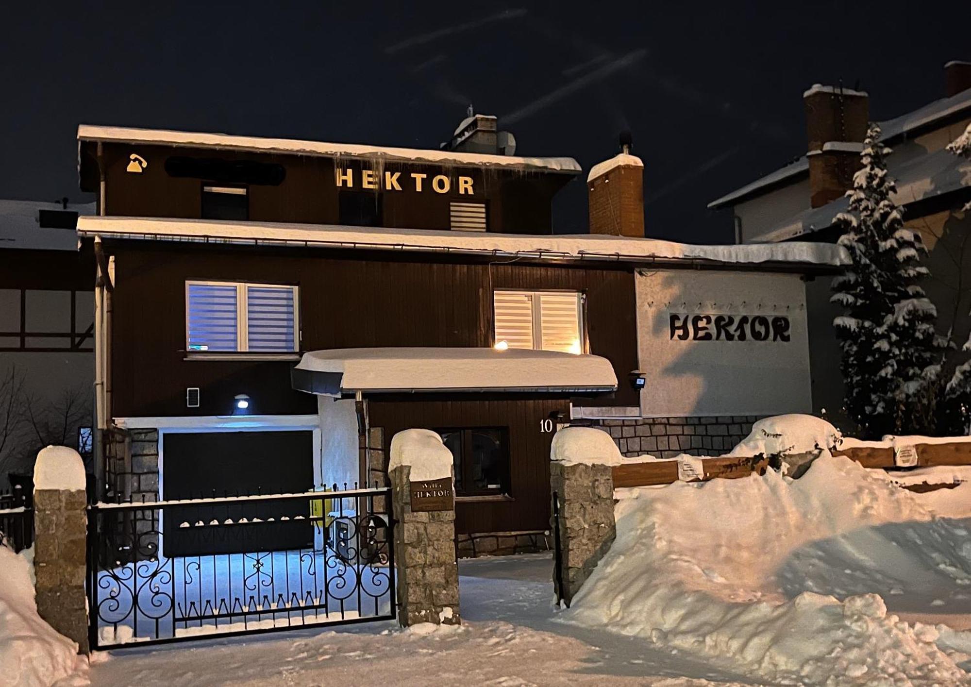 Willa Hektor Sklářská Poruba Exteriér fotografie
